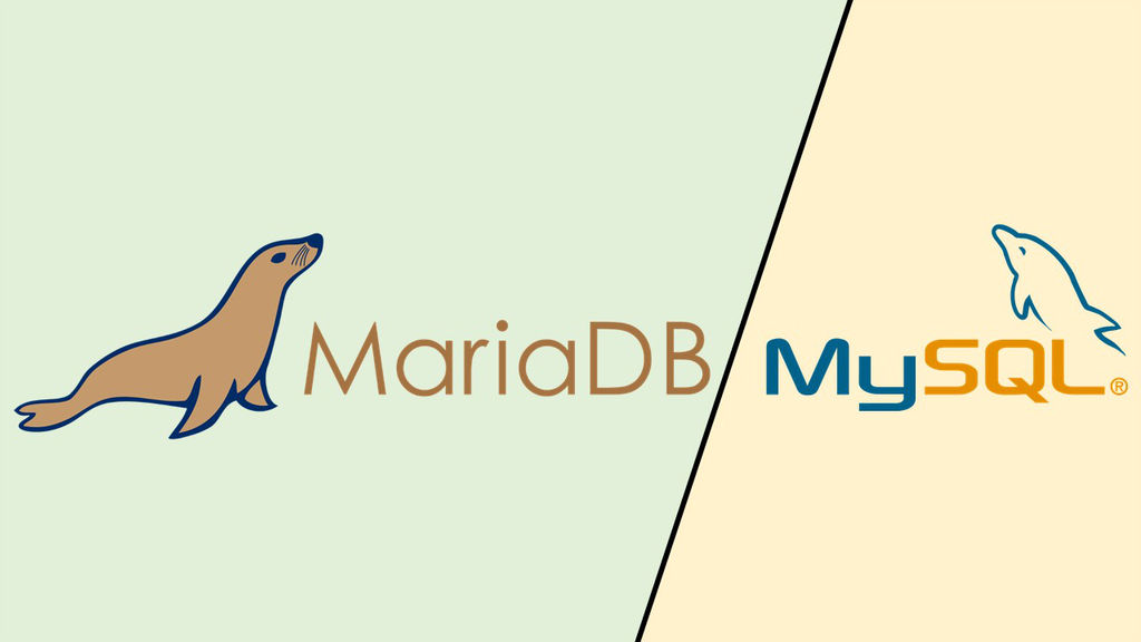 Tout ce que vous devez savoir sur les technologies de bases de données : Mariadb & MySQL